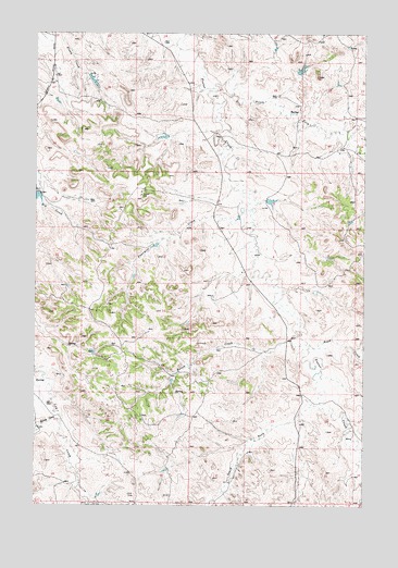 Fourmile Creek, MT USGS Topographic Map