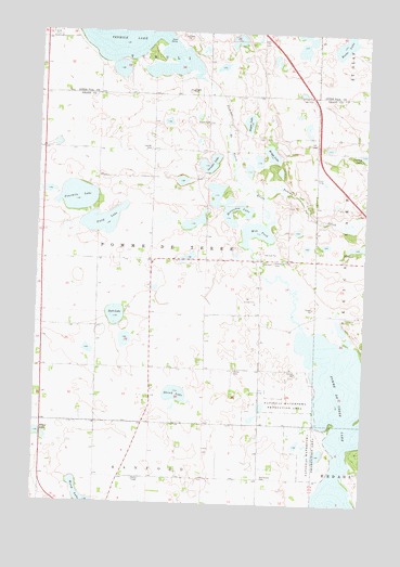 Fourmile Lake, MN USGS Topographic Map