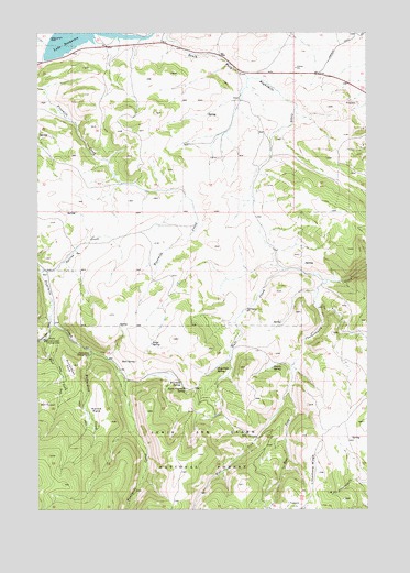 Fourmile Spring, MT USGS Topographic Map