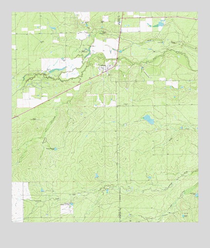 Fowlerton, TX USGS Topographic Map
