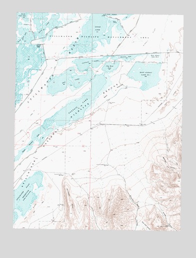 Foxtail Lake, NV USGS Topographic Map