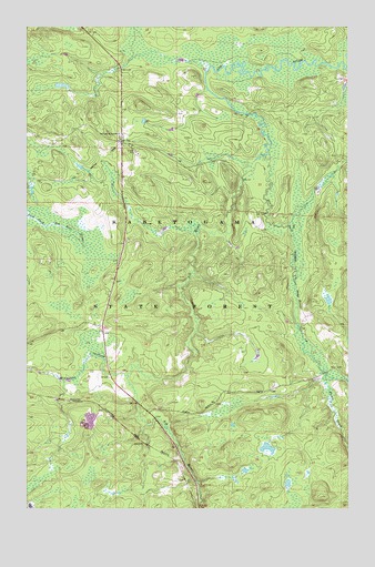 Ash River SW, MN USGS Topographic Map