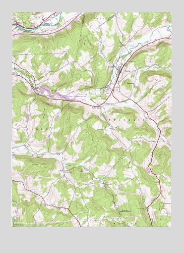 Franklin, NY USGS Topographic Map