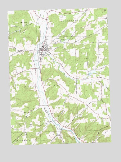 Franklinville, NY USGS Topographic Map