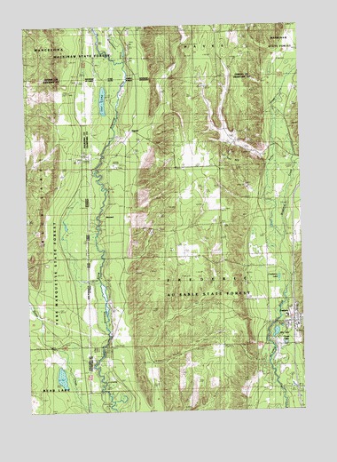 Frederic, MI USGS Topographic Map