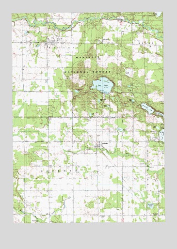 Free Soil, MI USGS Topographic Map