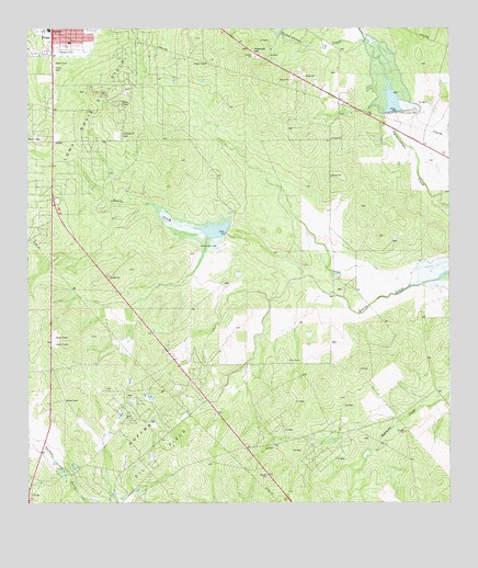 Freer South, TX USGS Topographic Map