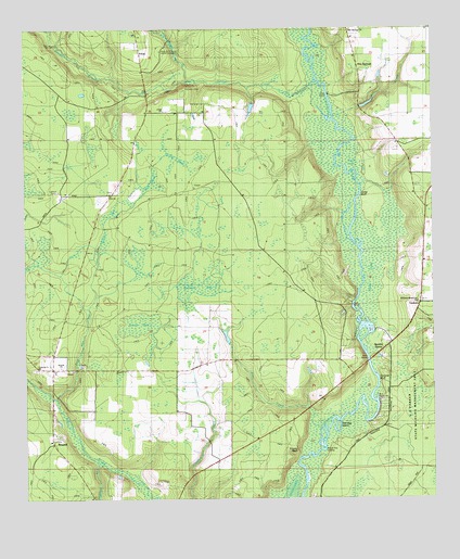 Frink, FL USGS Topographic Map