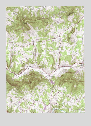 Ashland, NY USGS Topographic Map