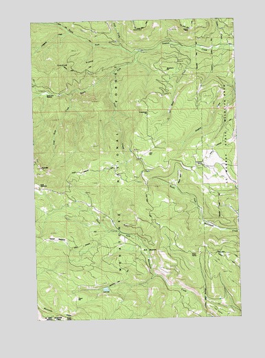 Frost Mountain, WA USGS Topographic Map
