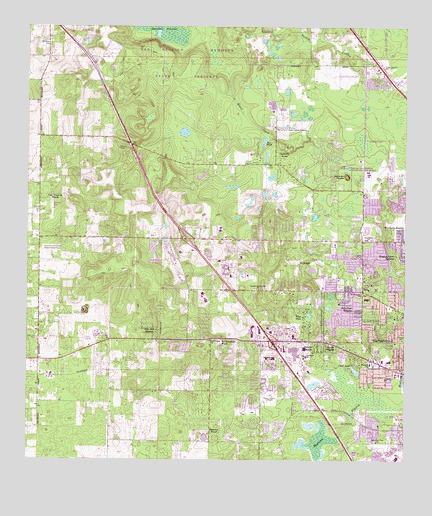 Gainesville West, FL USGS Topographic Map