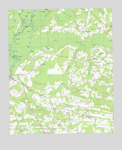 Galivants Ferry, SC USGS Topographic Map