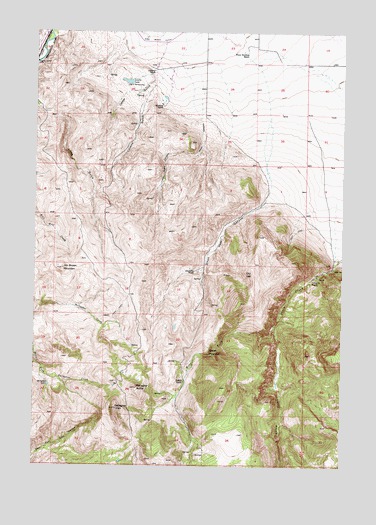 Gallagher Mountain, MT USGS Topographic Map