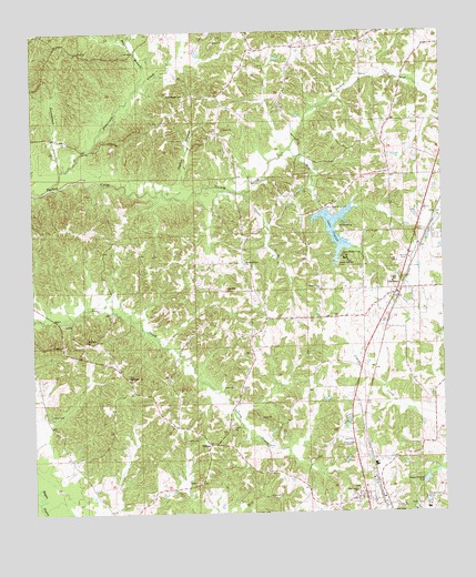 Gallman, MS USGS Topographic Map