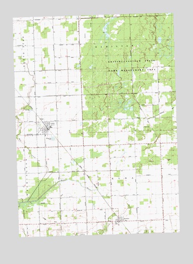 Ashley, MI USGS Topographic Map