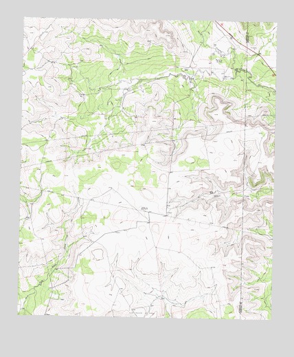 Garden City NE, TX USGS Topographic Map
