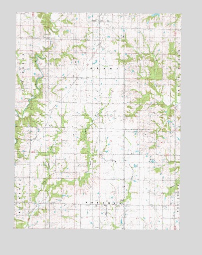 Gardner, MO USGS Topographic Map