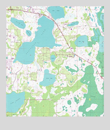 Ashton, FL USGS Topographic Map