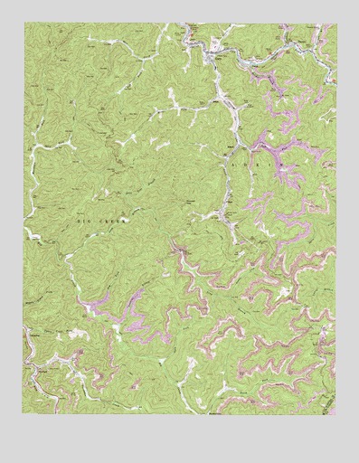 Gary, WV USGS Topographic Map