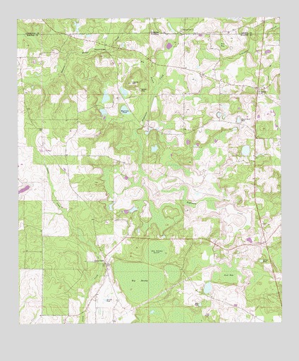 Gaskin, FL USGS Topographic Map