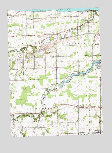 Ashwood, NY USGS Topographic Map