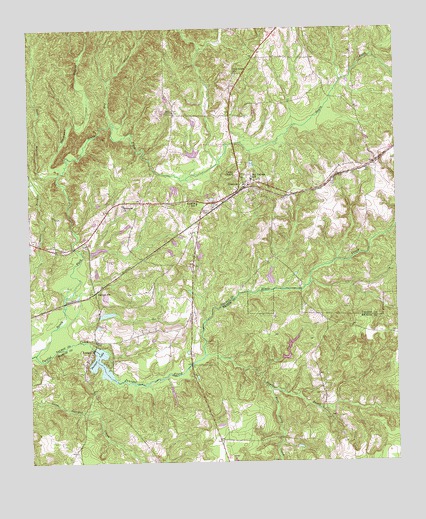Geneva, GA USGS Topographic Map