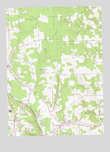Gerry, NY USGS Topographic Map