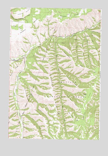 Gibbon, OR USGS Topographic Map