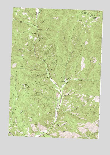 Gibbonsville, ID USGS Topographic Map