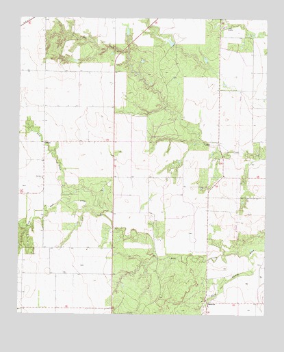Ginsite, TX USGS Topographic Map