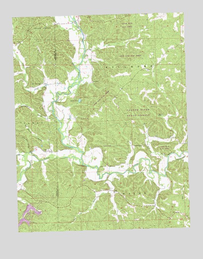 Gipsy, MO USGS Topographic Map