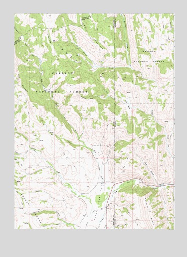 Giraffe Creek, WY USGS Topographic Map