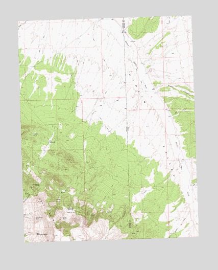 Gleason Basin, NV USGS Topographic Map