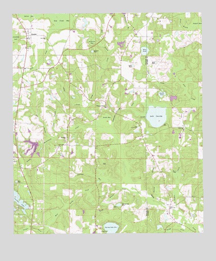 Glendale, FL USGS Topographic Map