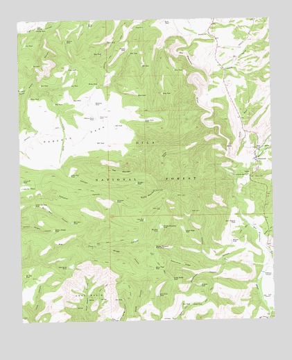 Glenwood, NM USGS Topographic Map