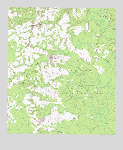 Glissons Millpond, GA USGS Topographic Map