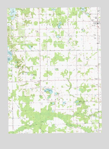 Gobles West, MI USGS Topographic Map