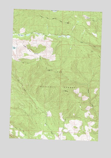 Gold Creek Peak, MT USGS Topographic Map