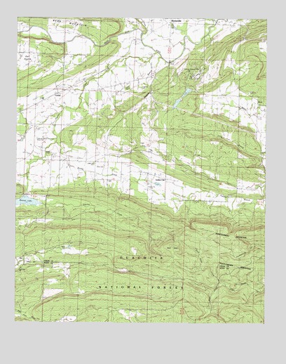 Golden City, AR USGS Topographic Map