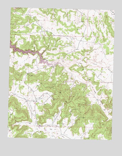 Gomez Ranch, NM USGS Topographic Map