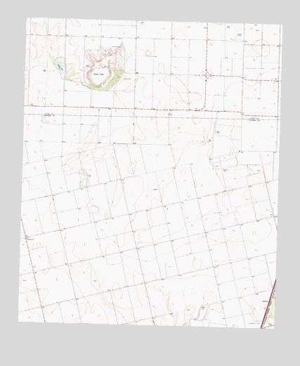 Gooch Lake, TX USGS Topographic Map