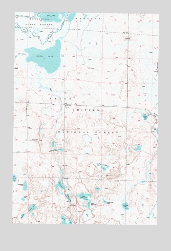 Goose Lake, MN USGS Topographic Map