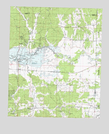 Gore Springs, MS USGS Topographic Map