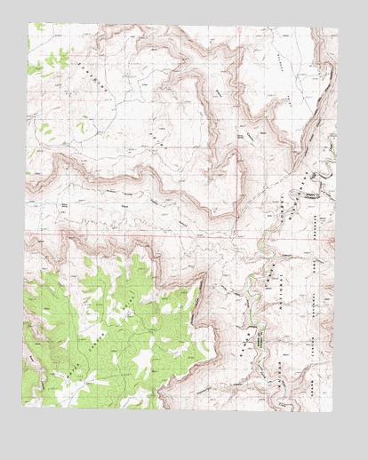 Grama Spring, AZ USGS Topographic Map