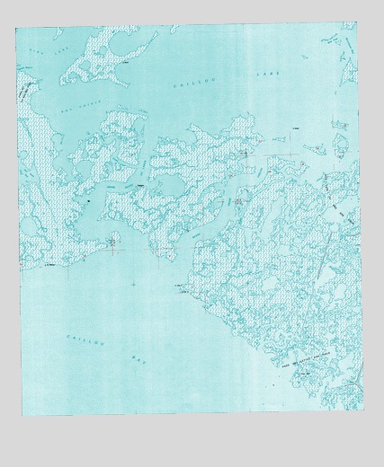 Grand Bayou du Large, LA USGS Topographic Map