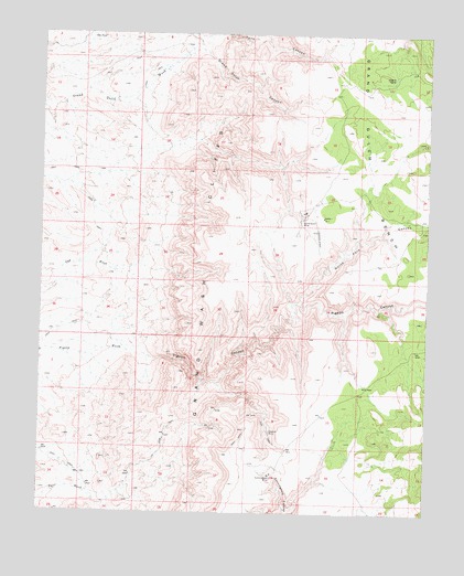 Grand Gulch Bench, AZ USGS Topographic Map