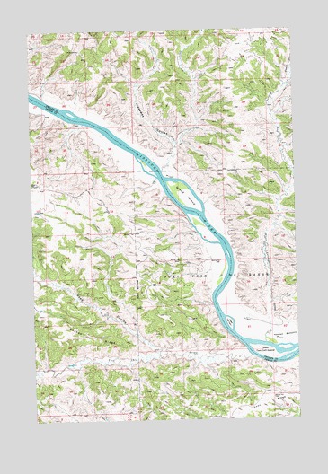 Grand Island, MT USGS Topographic Map