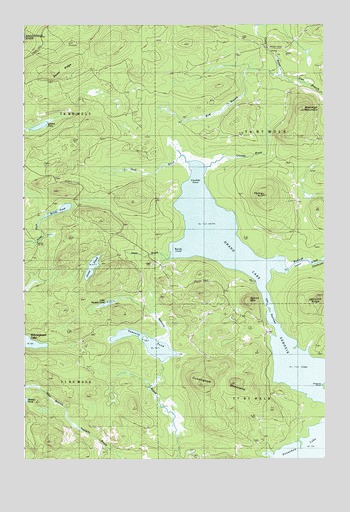 Grand Lake Seboeis, ME USGS Topographic Map