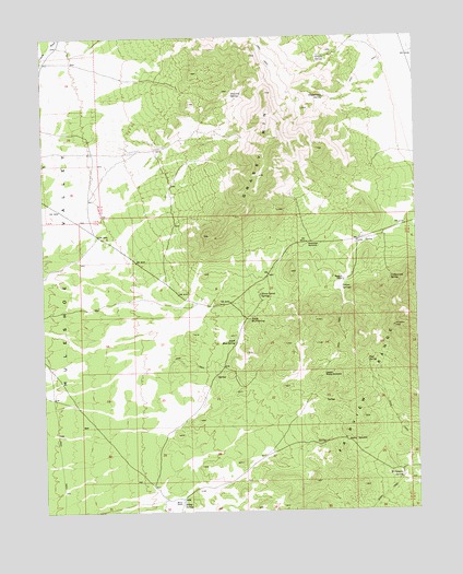 Grassy Mountain, NV USGS Topographic Map