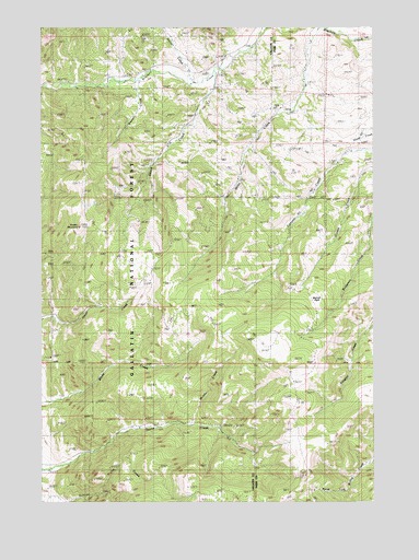 Grassy Mountain, MT USGS Topographic Map